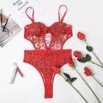 Femgrace High Quality Women's Underwear Thin Embroidered Lace Jumpsuit Hollowed Fishnet Wholesale High Quality Transparent Lingerie